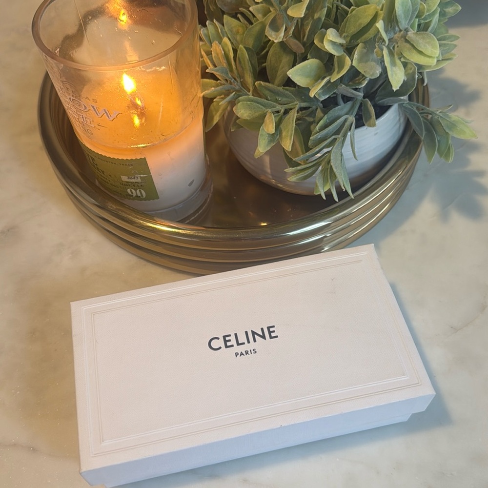 Celine sunglasses box case and towelette